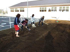 2007年3月23日の畑の様子