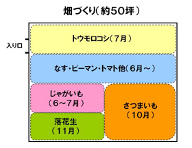 開園1年目の畑の作物計画図